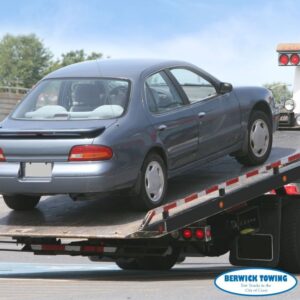 9f9cdb05495dde0508c7d2ae65b89d30 300x300